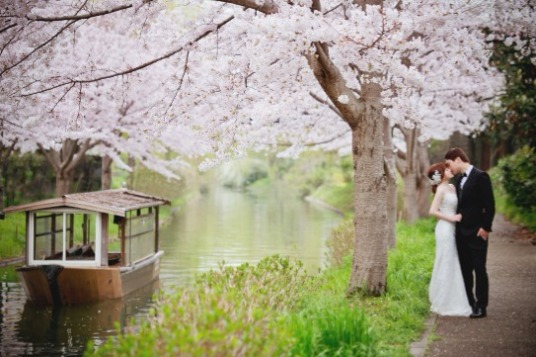 京都櫻花季婚紗｜海外婚紗推薦【青藤婚紗】